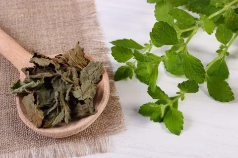 تصویر 3 از خرید بادرنجبویه خشک شده + قیمت فروش استثنایی